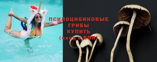 ECSTASY Абдулино
