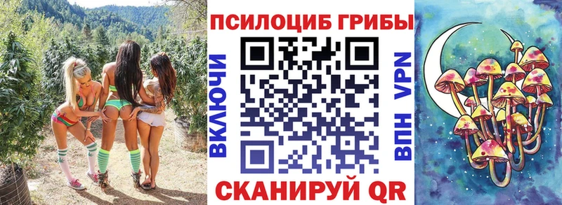Псилоцибиновые грибы MAGIC MUSHROOMS Новоалександровск