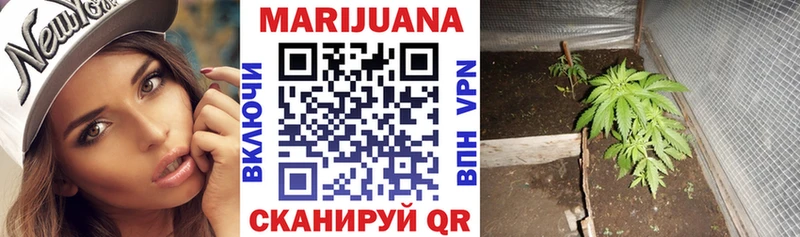 купить цена Новоалександровск площадка формула Конопля конопля